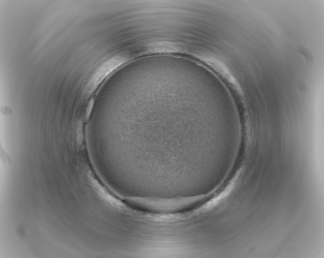 X0000091230889200708091416