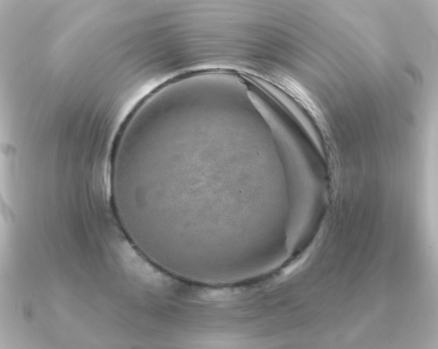 X0000091230892200708091415