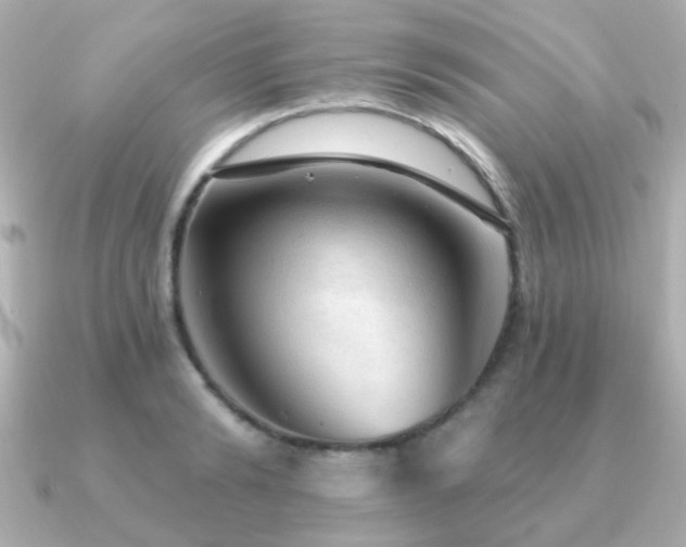 X0000091230894200708091415