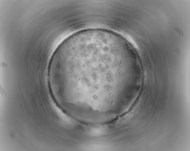 X0000091230895200708091415