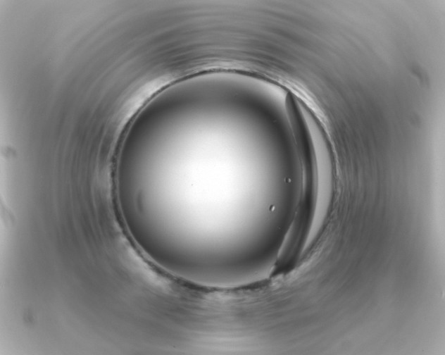 X0000091230898200708091415