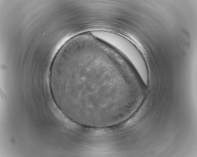 X0000091230899200708091415