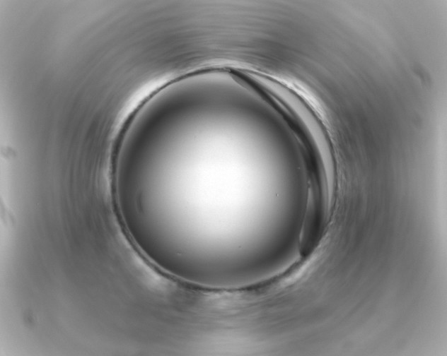 X0000091230902200708091415