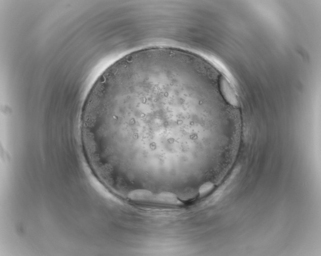 X0000091230903200708091415
