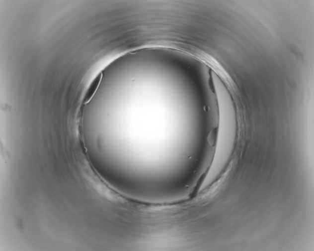 X0000091230908200708091415