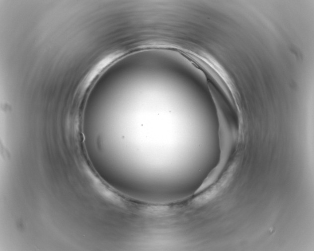 X0000091230909200708091415