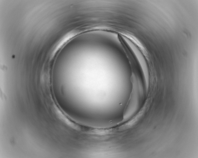 X0000091230910200708091415