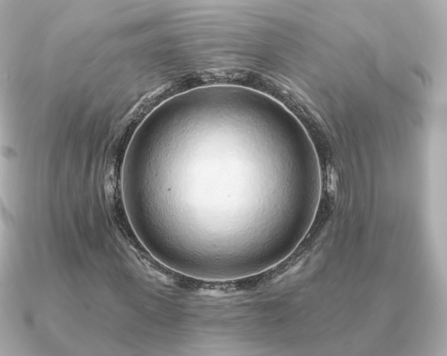 X0000091230915200708091415