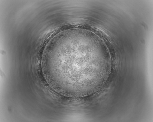 X0000091230917200708091415
