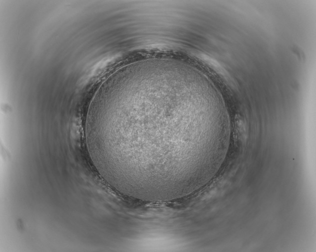 X0000091230918200708091415