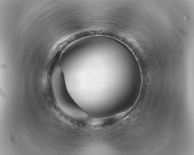 X0000091230920200708091415