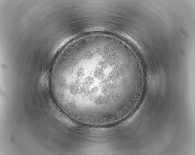 X0000091230921200708091415