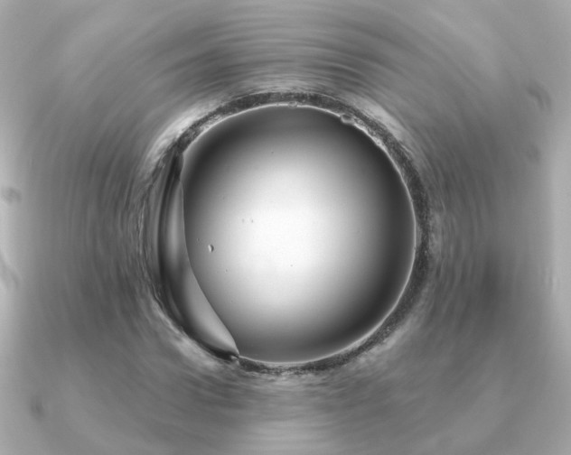 X0000091230922200708091415