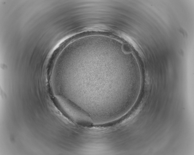 X0000091230923200708091415