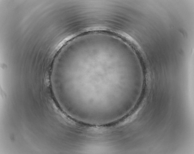 X0000091230929200708091415