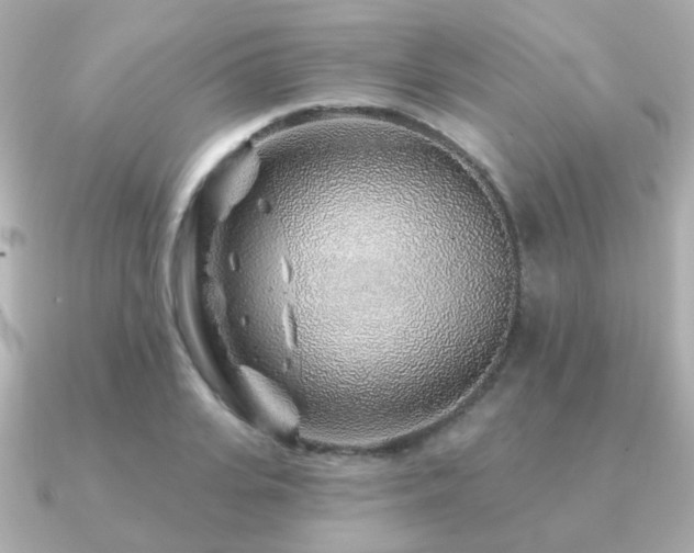 X0000091230935200708091415