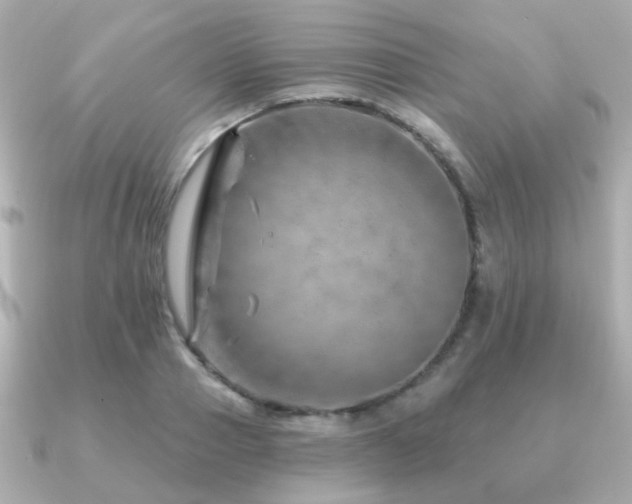 X0000091230937200708091415