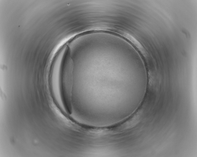 X0000091230939200708091415