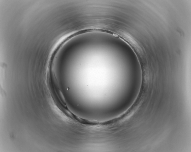 X0000091230940200708091415