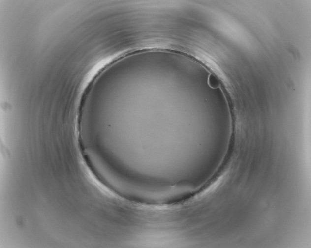 X0000091230941200708091415
