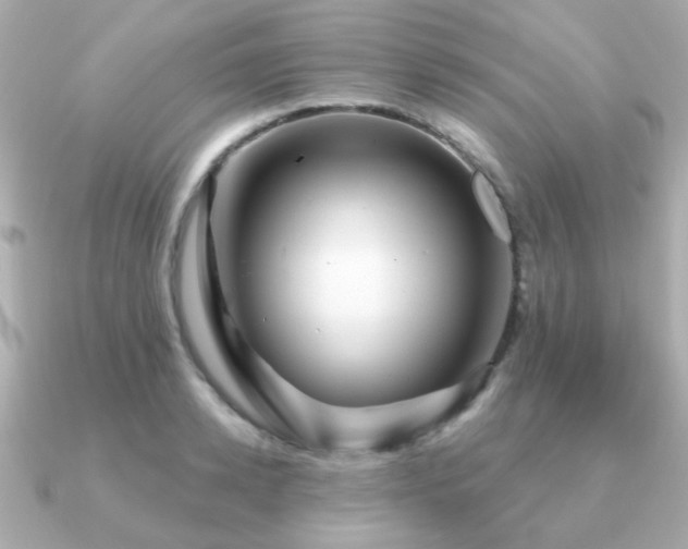 X0000091230942200708091415
