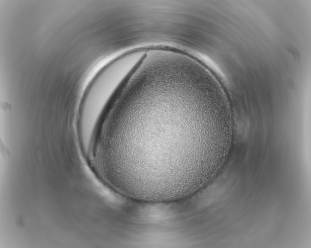 X0000091230943200708091415