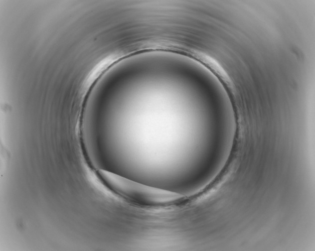 X0000091230946200708091415