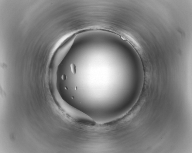 X0000091230948200708091415