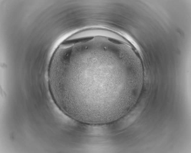 X0000091230951200708091415