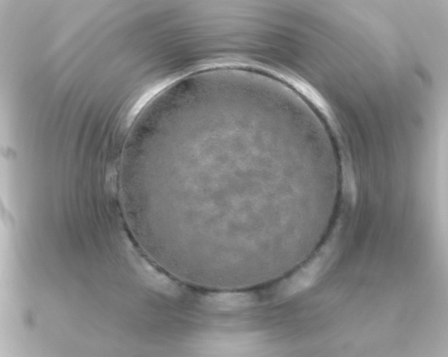 X0000091230953200708091415