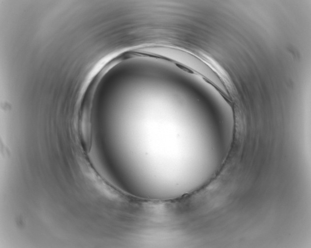 X0000091230956200708091415