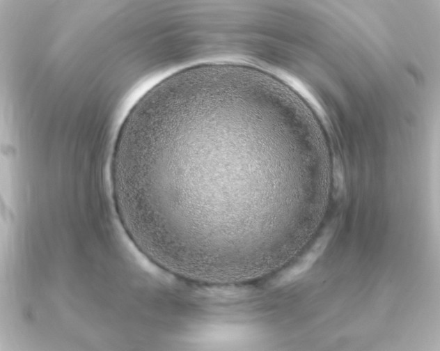 X0000091230959200708091415