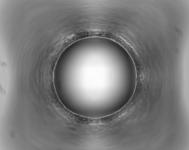 X0000091230961200708091415