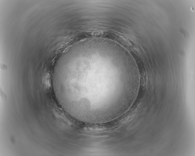 X0000091230962200708091415