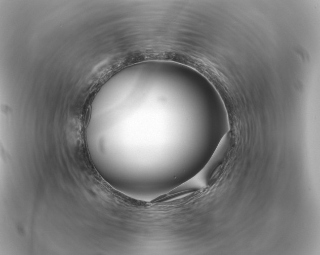 X0000091230964200708091415