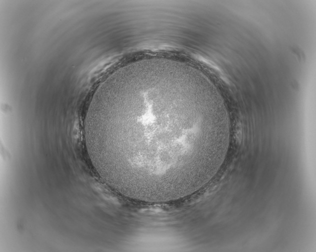 X0000091230966200708091415