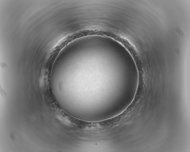 X0000091230968200708091415