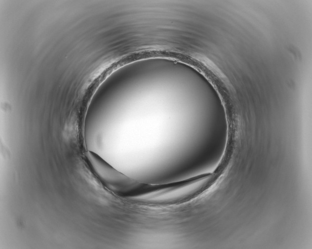 X0000091230969200708091415