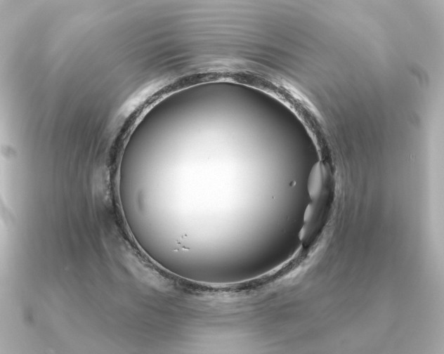 X0000091230970200708091415