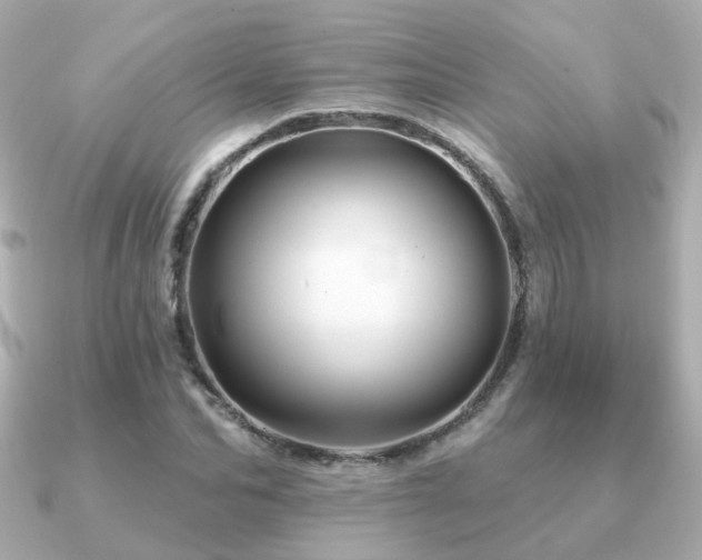 X0000091230974200708091415