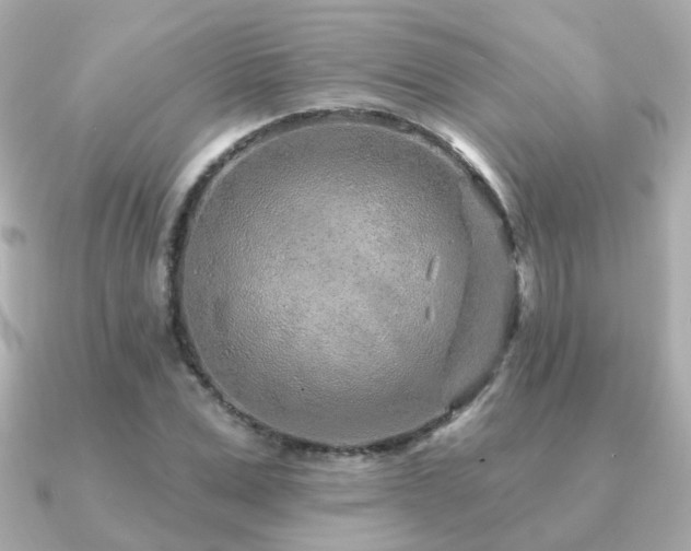 X0000091230975200708091415