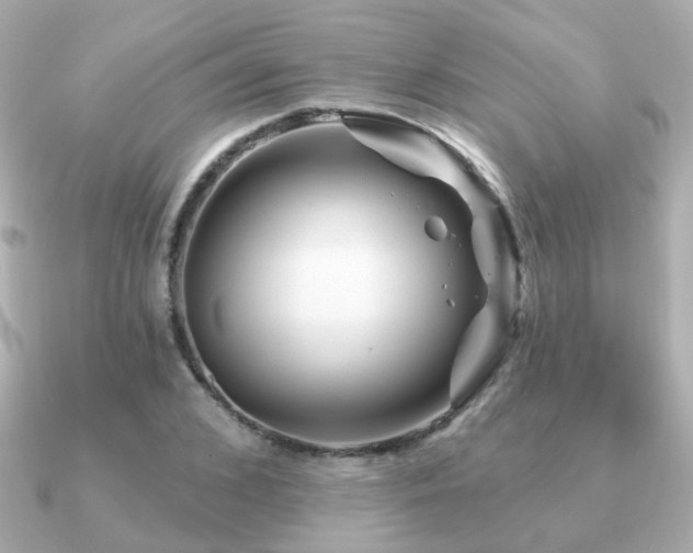 X0000091230976200708091415