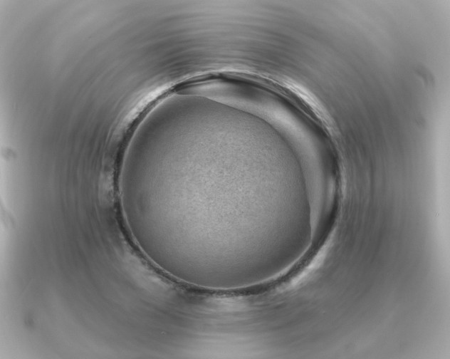 X0000091230977200708091415