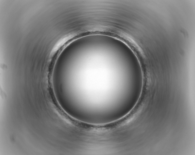 X0000091230978200708091414
