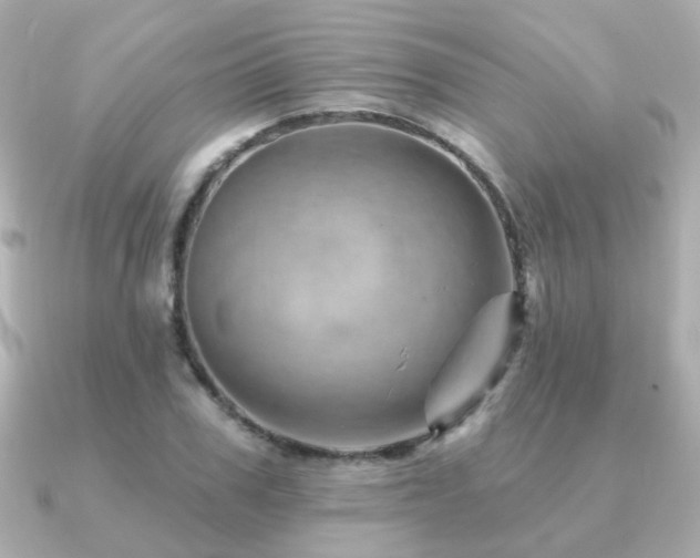 X0000091230979200708091414