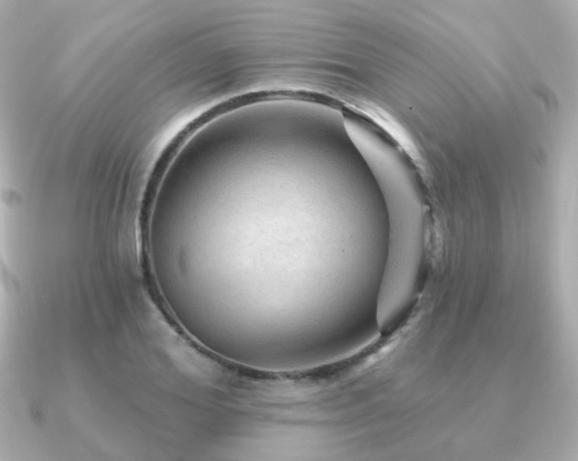 X0000091230980200708091414