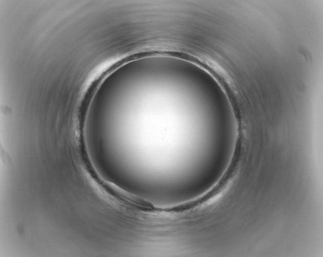 X0000091230981200708091414