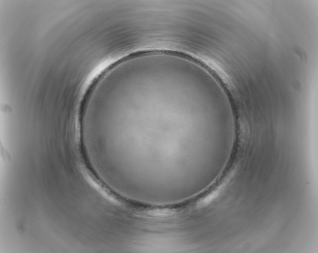 X0000091230982200708091414
