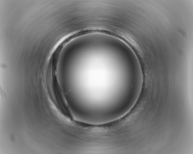 X0000091230984200708091414