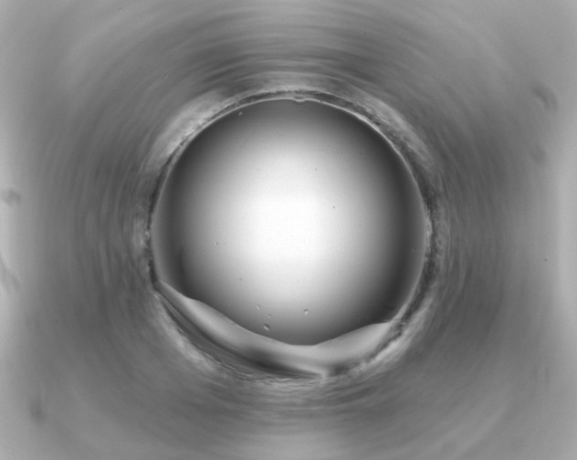 X0000091230985200708091414